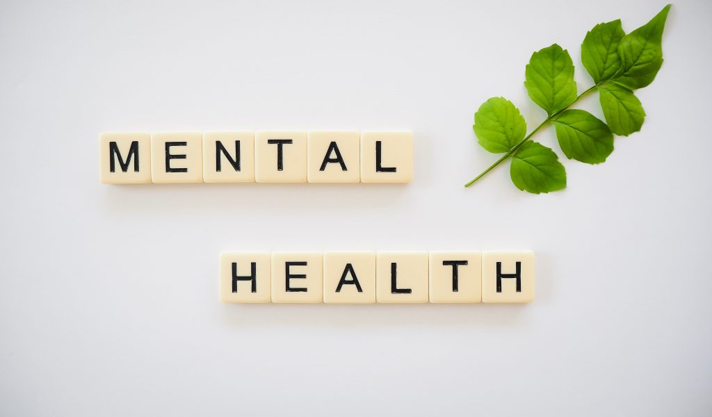 "mental health" spelled out in block letters next to a green stem with leaves