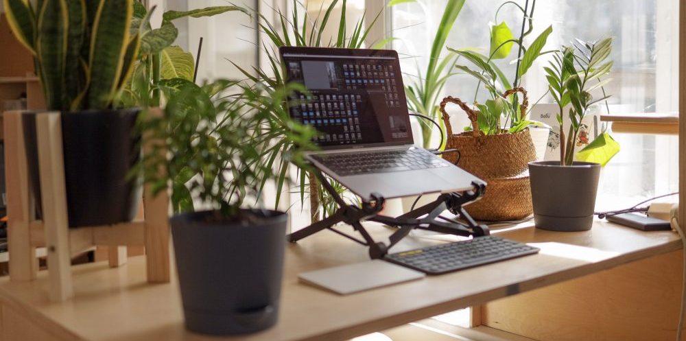 work from home setup with laptop and plants