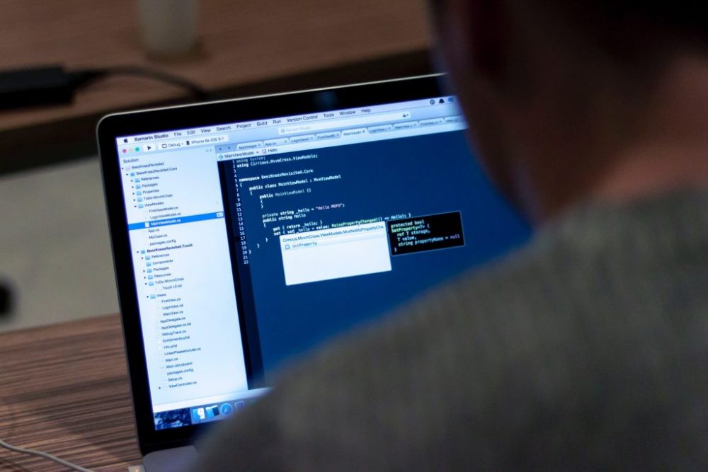 User looking at computer screen