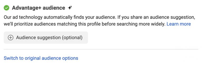 advantage plus audience