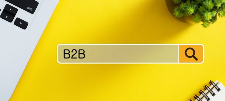 search field reading b2b on a yellow background