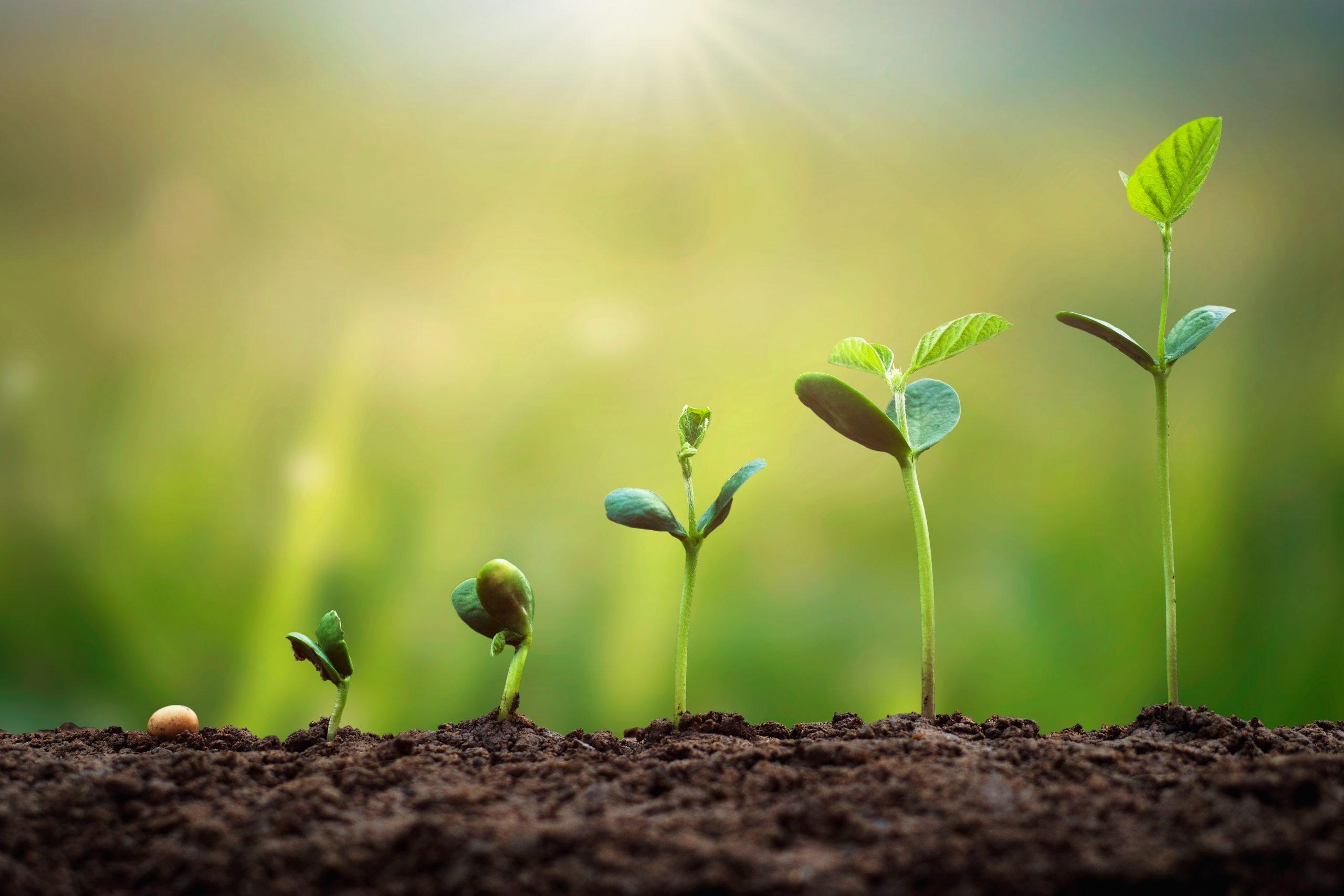 9 Growth Marketing Agencies Proven to Help You Scale 9 Growth Marketing Agencies Proven to Help You Scale