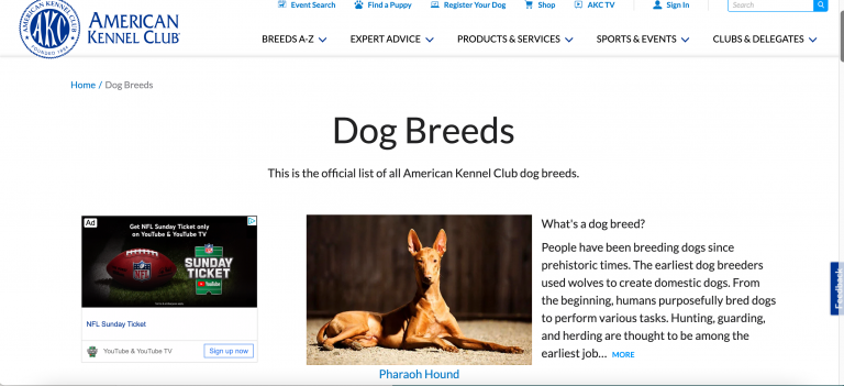 AKC’s dog breeds content hub
