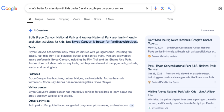 AI Overviews on the SERP