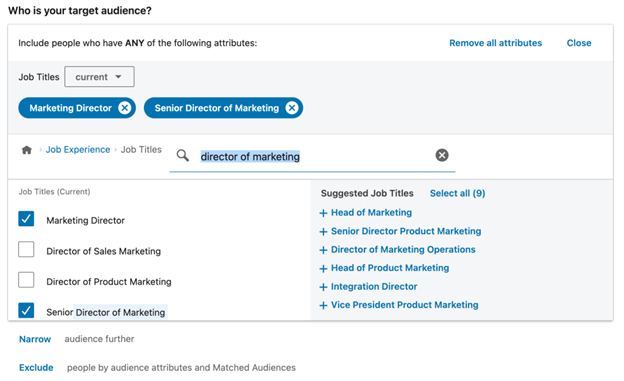 LinkedIn ad target job title