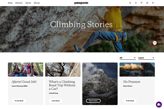 Patagonia blog example