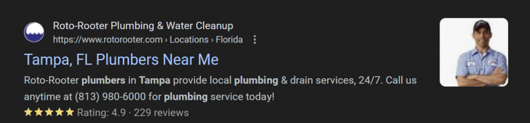 Search engine result for the search “Plumbers in Tampa”