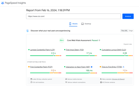 Google Core Web Vital Assessment