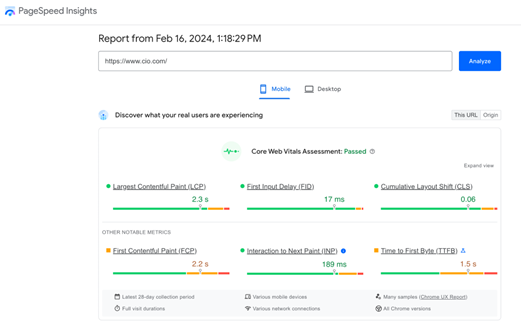 Google Core Web Vitals Assessment