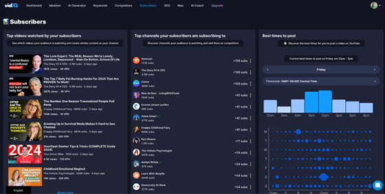 VidIQ Subscriber information