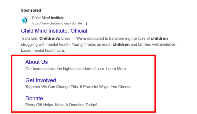 Sitelink assets example of a nonprofit organization