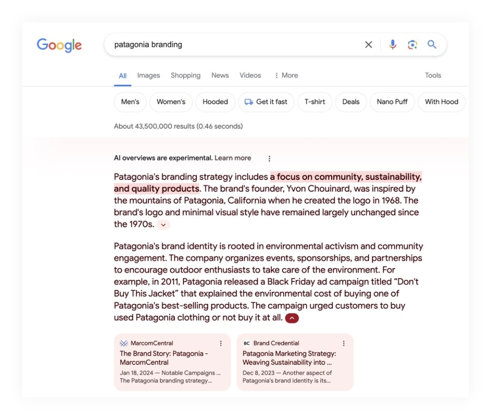 Patagonia AI Overview SEO
