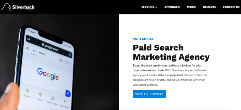 silverback strategies