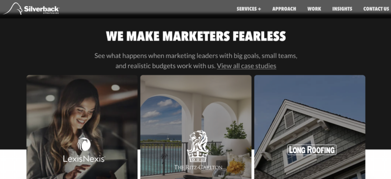 Silverback Strategies 2025