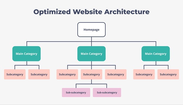 website architecture